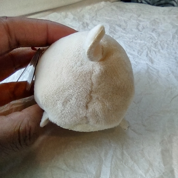 •Ty Teeny Candy the Pug Dog (5 inch) plush - Picture 5 of 13